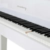 Arsenberg Speyer AGP150W Beyaz Grand Piyano
