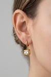 Crystal Dangle Earrings Gold