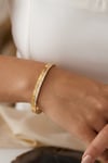 Zircon Stone Hinge Bangle Gold
