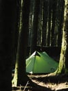 Night Cat Lanshan-2 2 Kişilik 4 Mevsim Ultralight Çadır - Yeşil