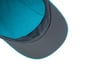 Shine cap Larkspur