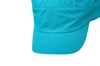 Shine cap Larkspur