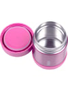 Thermos F300 Funtainer SS Çocuk Yemek Termosu 0,29L Pink 108648
