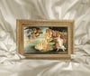 Botticelli - Venüs'ün Doğuşu Çerçeveli Tablo