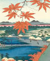 Japon Sanatı Çerçeveli Tablo Set