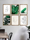 Line Art ve Monstera Çerçeveli Tablo Set 