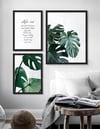 Monstera ve Motto Çerçeveli Tablo Set