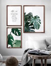 Monstera ve Motto Çerçeveli Tablo Set