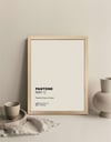 Pantone Çerçeveli Poster