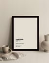 Pantone Çerçeveli Poster