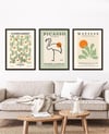 Picasso ve Matisse Çerçeveli Tablo Set