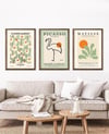 Picasso ve Matisse Çerçeveli Tablo Set
