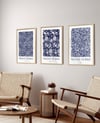 William Morris Çerçeveli Tablo Set