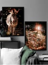 Zebra ve Doğa Çerçeveli Tablo Set