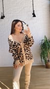 Leopar Hirka