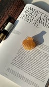 Camel Çizgili İstiridye Mandal Toka