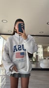 Gri USA Baskılı Dik Yaka Fermaurlı Sweat 