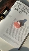 Pudra Sedefli İstiridye Mandal Toka