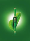 Pelikan M800 Demonstrator Green Fountain Pen