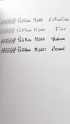 Pelikan Souveran M600 Art Collection Fountain Pen Rudi Rother Special Edition