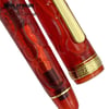 PLATINUM Limited Edition #3776 PNB 36000 Century Fountain Pen - Kinshu