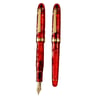 PLATINUM Limited Edition #3776 PNB 36000 Century Fountain Pen - Kinshu