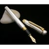 Platinum Özel Seri PTS 50000 Pin Stripe Silver Dolma Kalem M