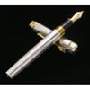 Platinum Özel Seri PTS 50000 Pin Stripe Silver Dolma Kalem M
