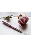 Platinum PGB1000 Plaisirshell Pack 21 Pink Dolma Kalem F
