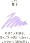 Sailor Shikiori Nadeshiko 20ml Ink