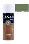 Casati Sprey Boya 400 ML