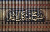 شرح مشكل الآثارRisaleti AlemiyyeHadis