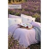 İyi Geceler İstanbul Exclusive Çift Kişilik Nevresim Takımı Sweet Dr Lavender