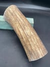 Geyik Boynuzu - 12                                                                                                                               