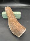 Geyik Boynuzu - 5