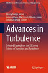 Advances in Turbulence: Selected Papers from the XII Spring School on Transition and Turbulence (Lecture Notes in Mechanical Engineering) Meier Junior