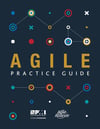 Agile Practice Guide 1st Edition