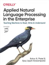 Applied Natural Language Processing in the Enterprise: Teaching Machines to Read, Write, and Understand Patel Arasanipalai