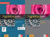 Aspekte Neu B2 Lehrbuch + Arbeitsbuch Mit Dvd (Klett)