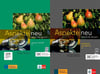 Aspekte Neu C1 Lehrbuch + Arbeitsbuch Mit Dvd (Klett)