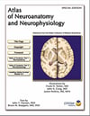 Atlas of Neuroanatomy and Neurophysiology: Selections from the Netter Collection of Medical Illustrations Frank H. M. D Netter