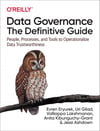 Data Governance: The Definitive Guide: People, Processes, and Tools to Operationalize Data Trustworthiness Eryurek Gilad