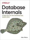 Database Internals: A Deep Dive into How Distributed Data Systems Work Alex Petrov