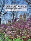 deep learning (goodfellow, bengio, courville)