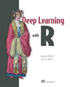 Deep Learning with R  Francois Chollet