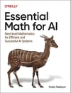 Essential Math for AI: Next-Level Mathematics for Efficient and Successful AI Systems Hala Nelson