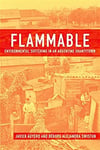 flammable (auyero, swistun)