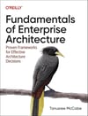 Fundamentals of Enterprise Architecture: Proven Frameworks for Effective Architecture Decisions - Tanu McCabe