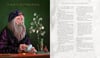 Harry Potter and the Philosopher's Stone: Illustrated Edition J.K. Rowling (Ciltli kapak/Hardcover-ingilizce)