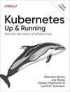 Kubernetes: Up and Running: Dive into the Future of Infrastructure 3rd Edition Burns Beda